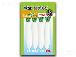 �s������65-�}���N��-���L