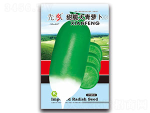 �������}��-�}���N��-���L