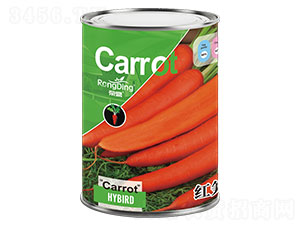 �t�S818-�}���N��-���L