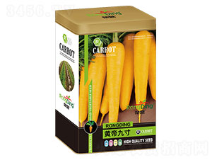 �S�۾Ŵ�-�}���N��-���L