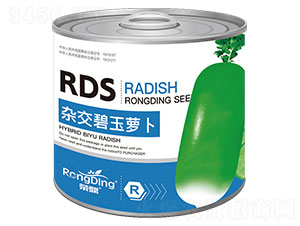 �s�������}��-�}���N��-���L