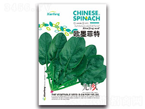 �Wī����-���˷N��-���L