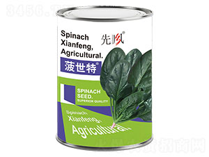 ������-���˷N��-���L