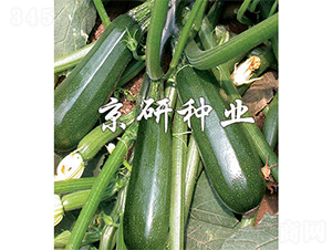 ����2̖-�����J�N��-����