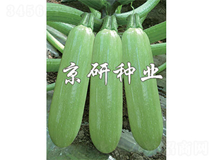 ����4̖-�����J�N��-����