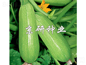 ����5̖-�����J�N��-����