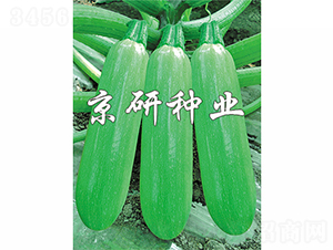 ����9̖-�����J�N��-����