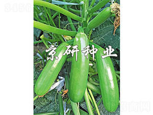 ����42̖(h��o)-�����J�N��-����