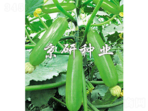 ���336-�����J�N��-����