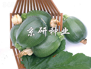 ����-�����J�N��-����