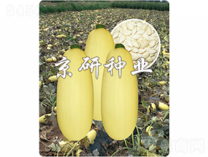 �������S1̖(h��o)-�����J�N��-����