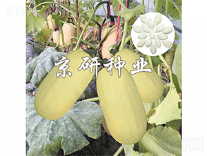 �������S2̖(h��o)-�����J�N��-����