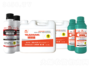 �ؾG�ѣ��M�ϣ�-��μ�