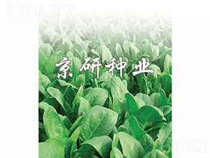 ����1̖-���˷N��-����