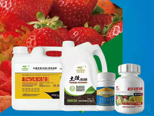 ��ݮ�t�����������ײ�-��μ�