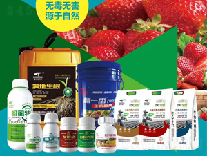 ��ݮʩ�ʷ���-��μ�