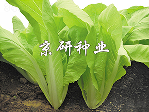 �����S�~-��˷N��-����