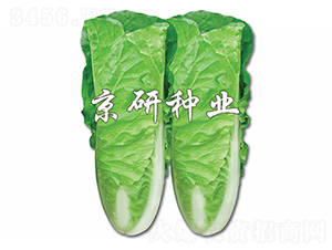 ���п��2̖-��˷N��-����