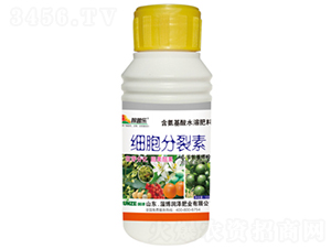 ����������-���՘�-���ɷʘI 