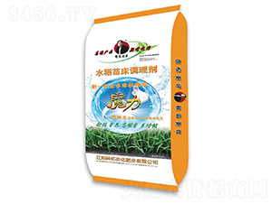 10kgˮ���紲�{�턩-�����r��