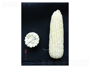 ����Ŵ1̖-Ŵ���׷N��-���r�l