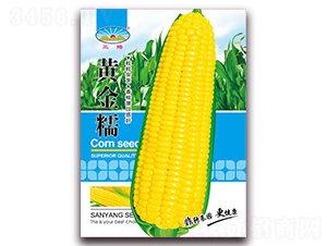 �S��Ŵ-Ŵ���׷N��-��ͷN�I