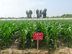 ����188-���׷N��-�����N�I