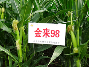 ����98-���׷N��-�����N�I