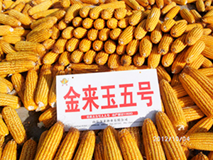 ������5̖(h��o)-���׷N��-�����N�I(y��)