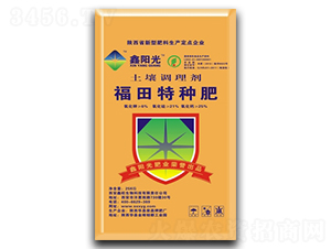 �����{�턩-��ꖹ�-�s��