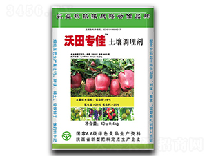 �����{�턩-�����-�s��