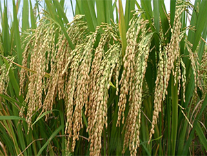 ����140-ˮ���N��-�����r�I