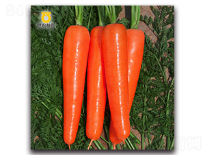 �￨��-���}���N��-���r�N��