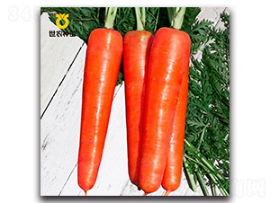 ��t����-���}���N��-���r�N��