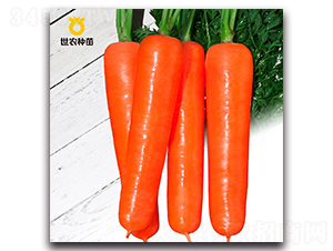 �t��-���}���N��-���r�N��