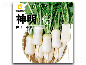 ����С�}��-�}���N��-���r�N��