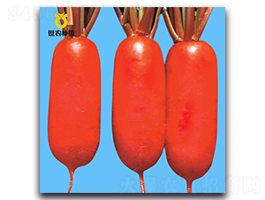 ���t-�}���N��-���r�N��