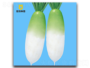 Ӣ�|-�}���N��-���r�N��