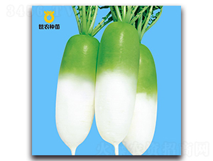 ���r806-�}���N��-���r�N��