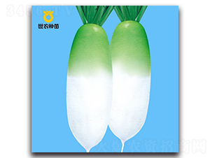 ����-�}���N��-���r�N��