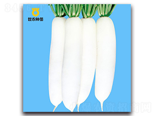 ������-�}���N��-���r�N��