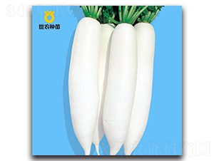 ����-�}���N��-���r�N��