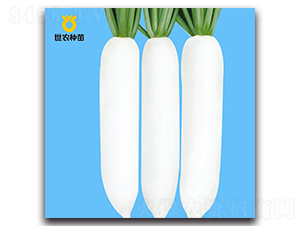 ������-�}���N��-���r�N��