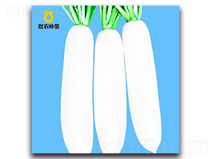 ��ɽ��ѩ-�}���N��-���r�N��