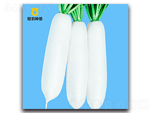 ѩ�`-�}���N��-���r�N��