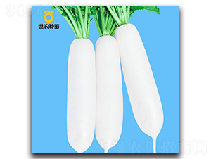 ���r����-�}���N��-���r�N��