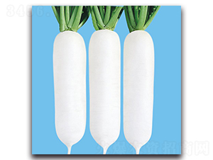 CR���r301-�}���N��-���r�N��