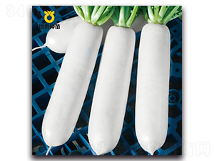 ����-�}���N��-���r�N��