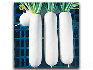 �蝍-�}���N��-���r�N��