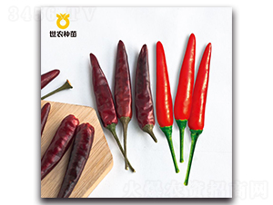 ���r̩��-�����N��-���r�N��